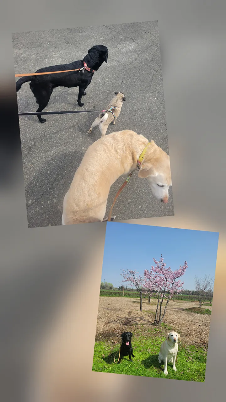 介護士［住宅型有料老人ホーム］ K.Hさん