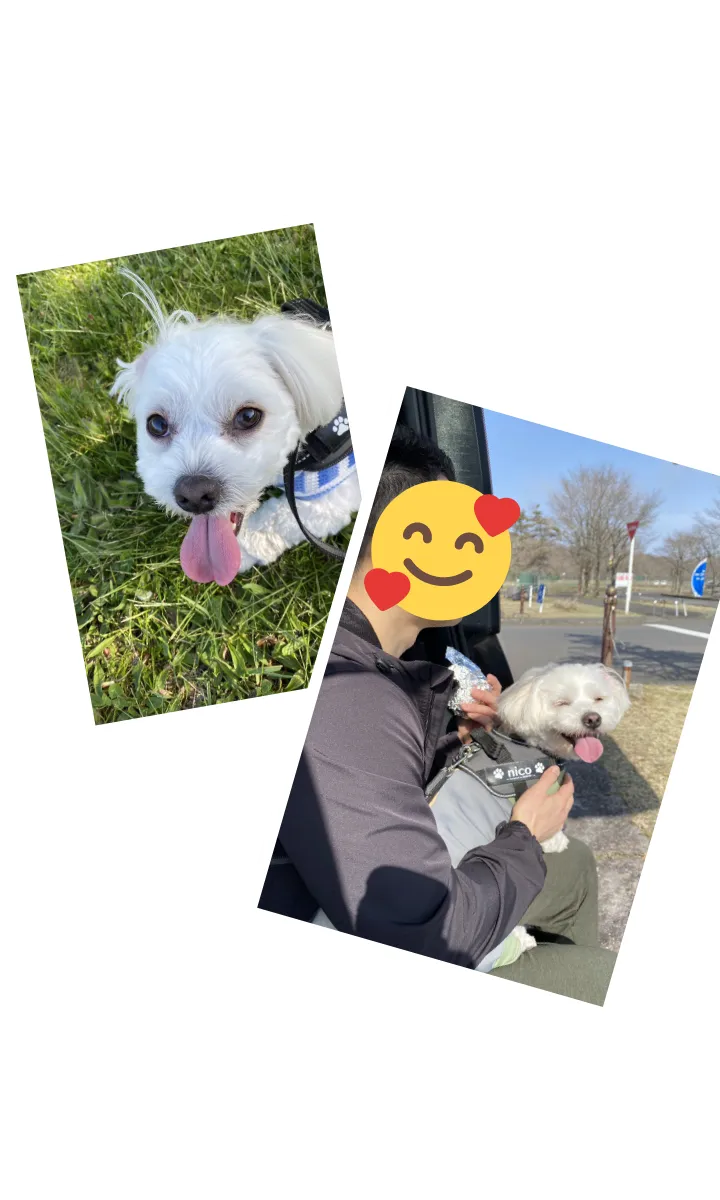 介護士［訪問介護］ S.Yさん